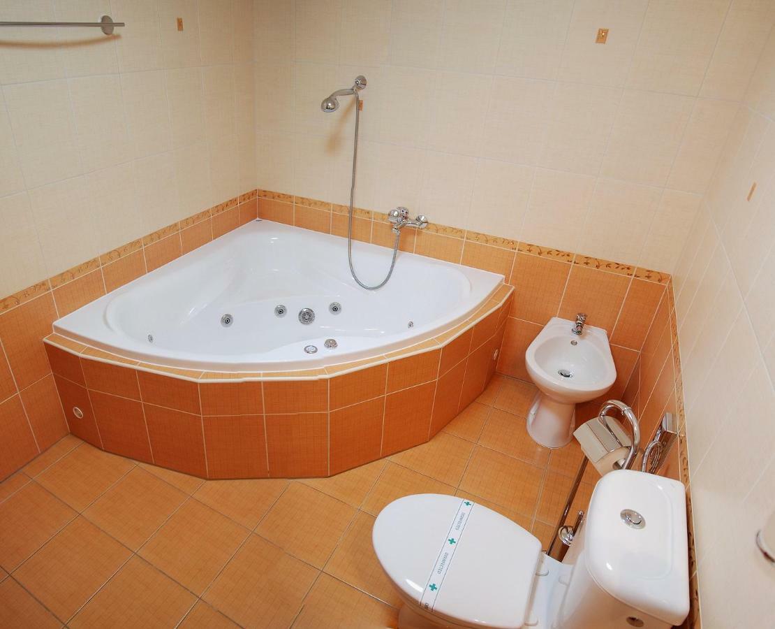 Hotel Rysavy Vémyslice エクステリア 写真
